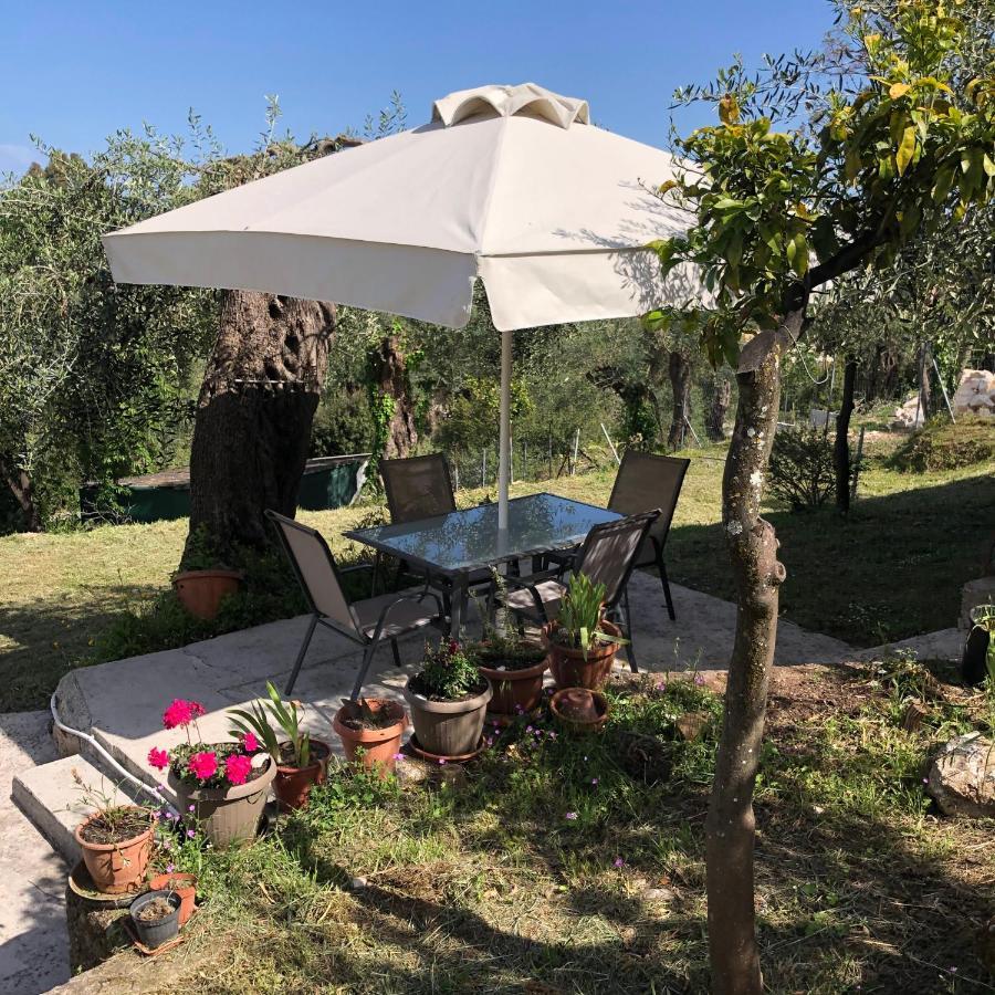 Villa Casa Sofia à Dassia  Extérieur photo