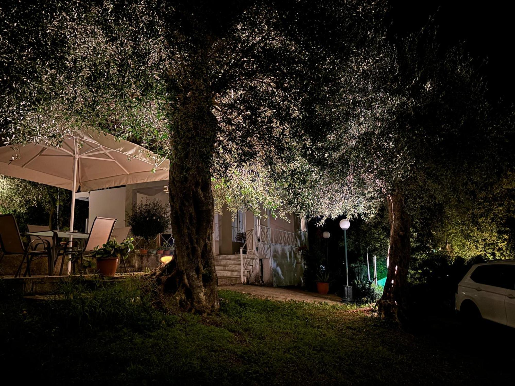 Villa Casa Sofia à Dassia  Extérieur photo